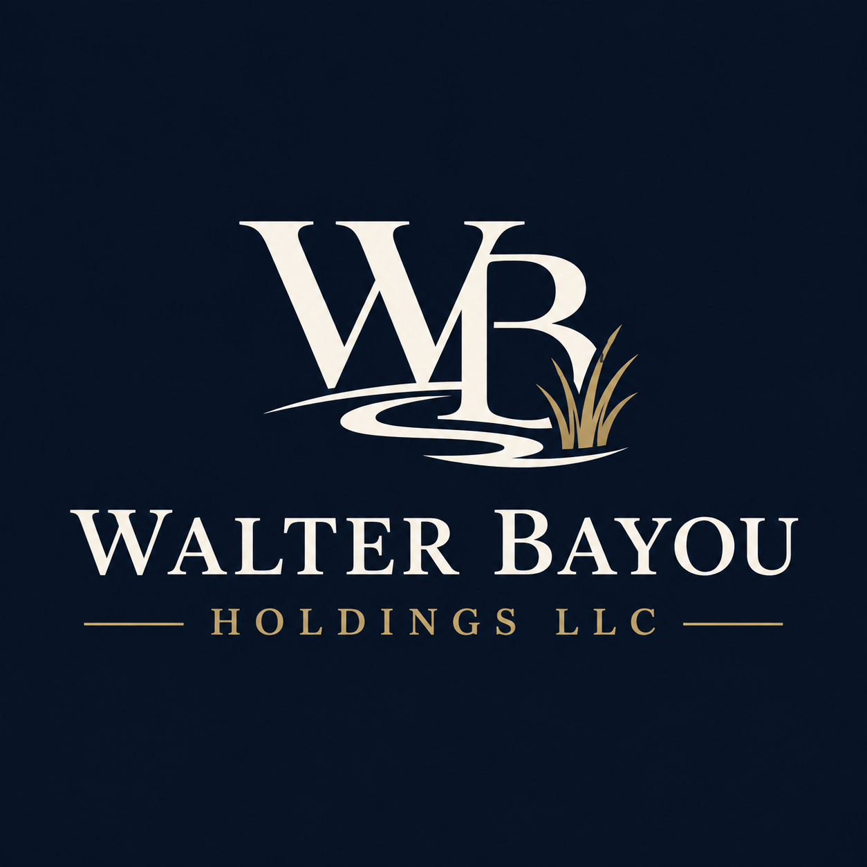 Walter Bayou Holdings LLC logo